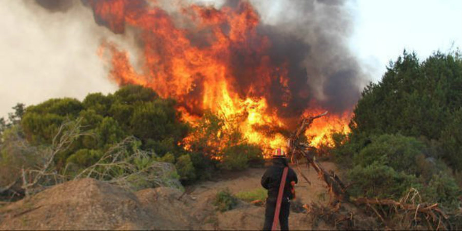 Υπό πλήρη έλεγχο η πυρκαγιά στην Τριμίκλινη - Προστατεύτηκε η κοινότητα και κατοικίες 