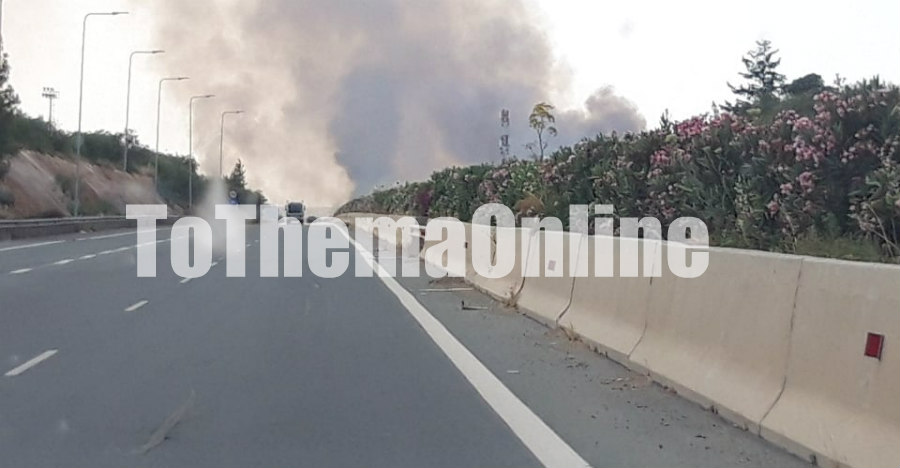 ΕΠ. ΛΕΥΚΩΣΙΑΣ: Ξέσπασε μεγάλη πυρκαγιά στο Μάμμαρι- Ορατοί οι καπνοί από τον αυτοκινητόδρομο