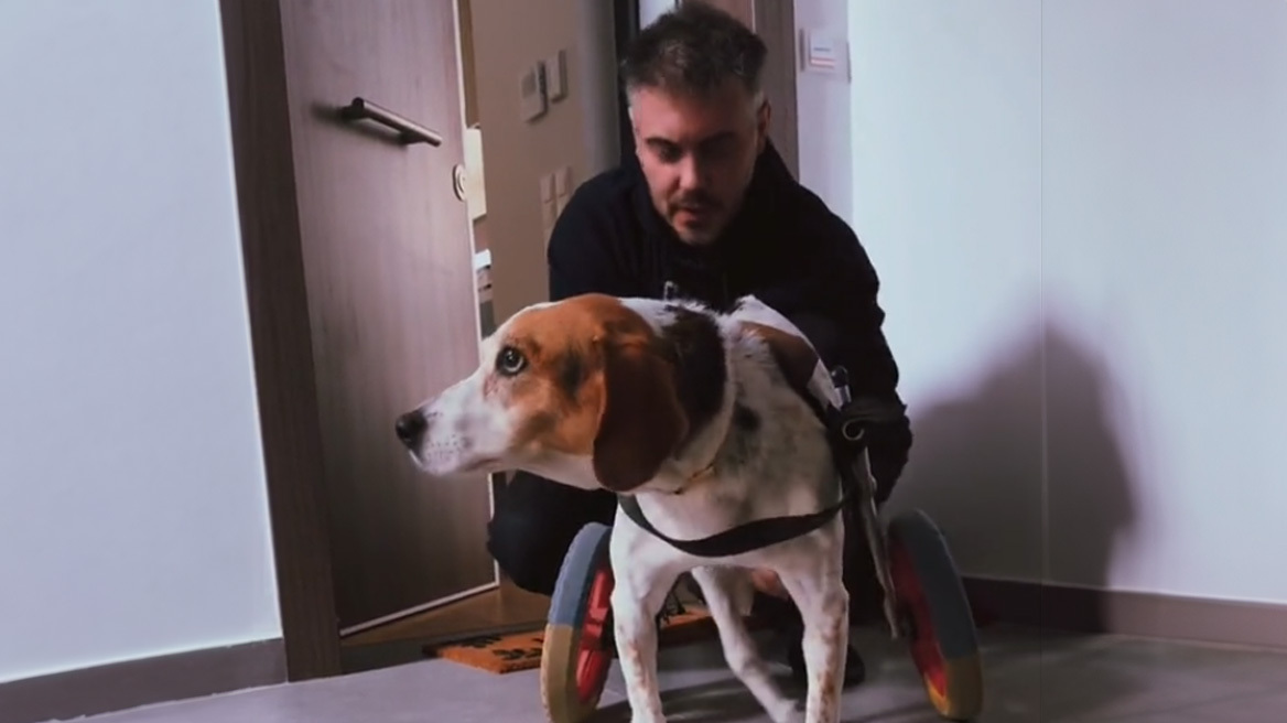 Μιχάλης Χατζηγιάννης: Το συγκινητικό βίντεο του με την σκυλίτσα του Ζάνη