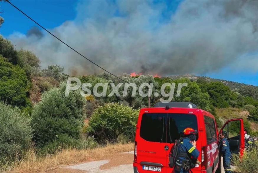 Φωτιά στην Εύβοια: Ενισχύθηκαν οι δυνάμεις της Πυροσβεστικής - Εκκενώσεις οικισμών, αγωνία για τους ισχυρούς ανέμους - Δείτε βίντεο