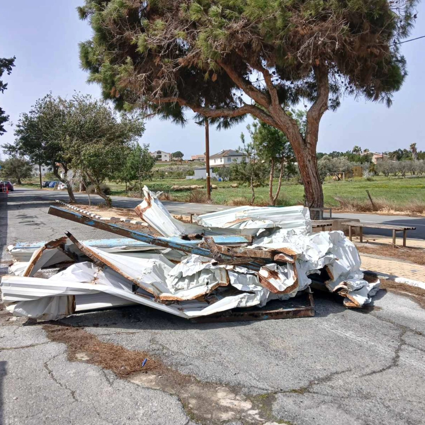 Χάος στην περιοχή Κουρίου - Ισχυροί άνεμοι προκάλεσαν πτώσεις δέντρων σε δρόμους - Δείτε φωτογραφίες