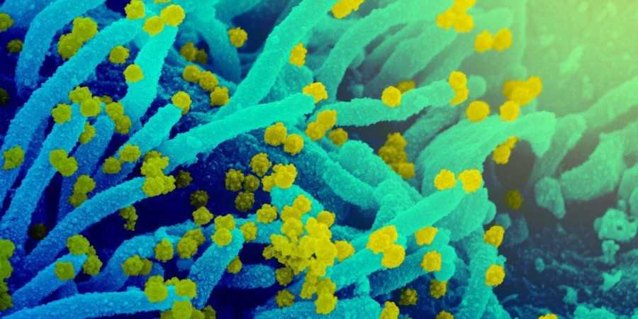 Σπουδαίο επίτευγμα: Πρόβλεψη για μεταλλάξεις κοροναϊού, γρίπης και HIV με... τεχνητή νοημοσύνη