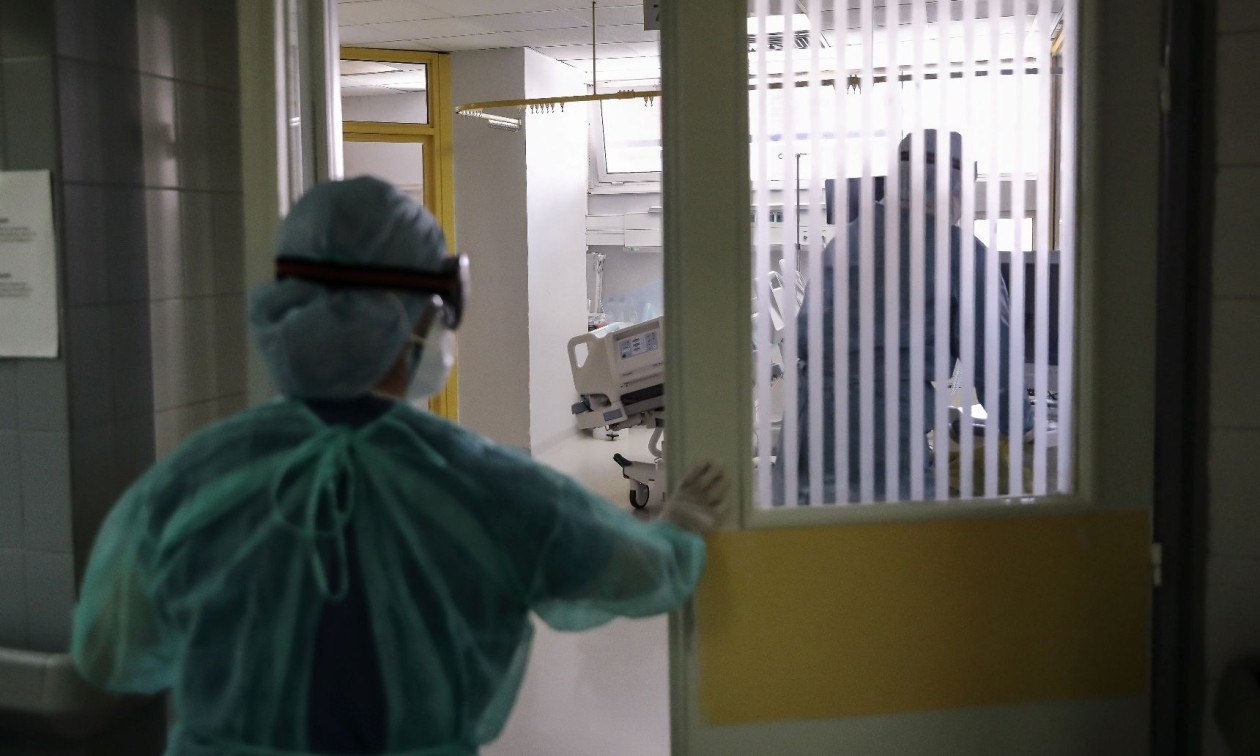 Νέο μυστηριώδες στέλεχος: Ανακαλύφθηκε νέος κορονοϊός - Ο HKU5-CoV-2 μεταδίδεται και στον άνθρωπο - Σε ποια χώρα τον εντόπισαν