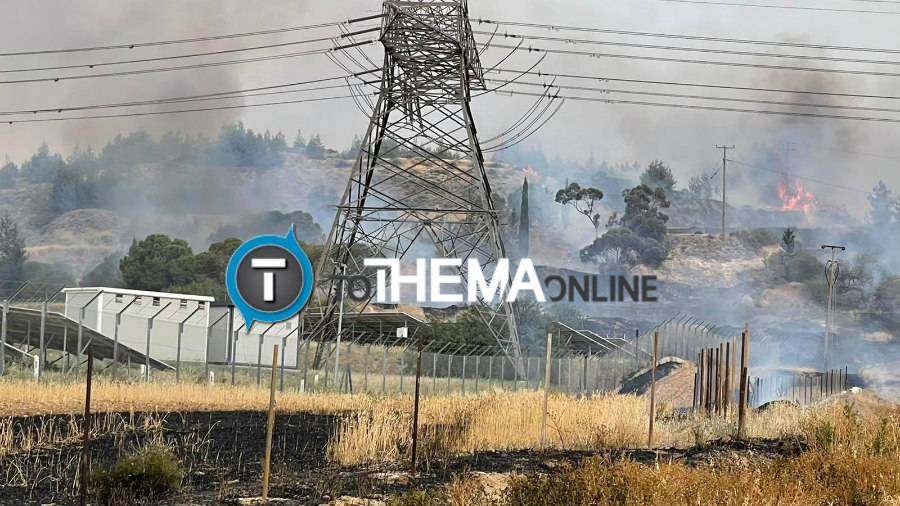 ΛΕΥΚΩΣΙΑ: Δύο εκτάρια κρατικού δάσους έκαψε η φωτιά στην περιοχή Τσερίου