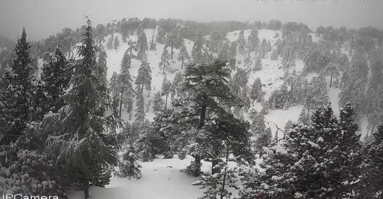 Στα άσπρα το Τρόοδος: Στους πόσους πόντους πήγε το χιόνι; Φωτογραφίες και βίντεο