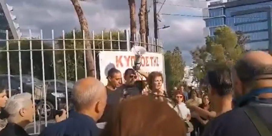 Επιτέθηκαν σε πρώην Ευρωβουλευτή στη διαμαρτυρία για τον Θανάση - «Και ότι είδατε, είδατε» - Βίντεο
