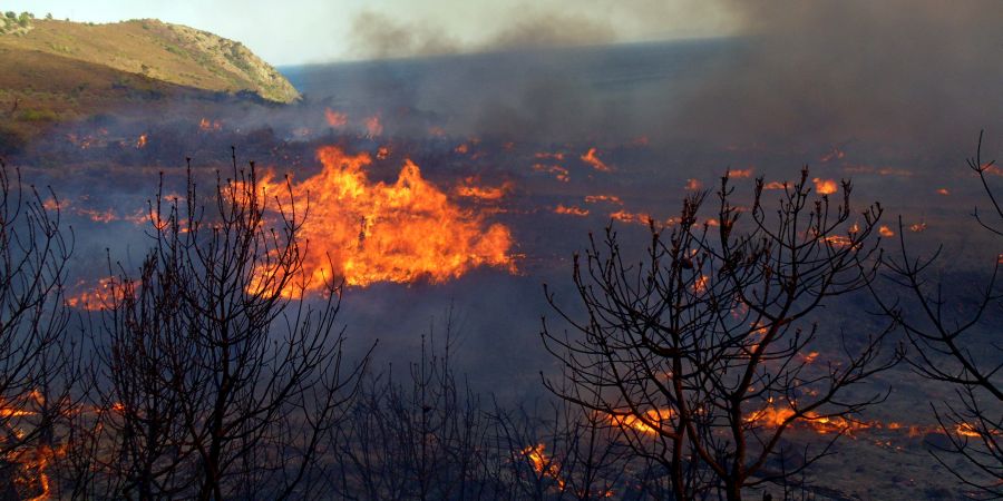 ΛΕΜΕΣΟΣ: Υπό μερικό έλεγχο η πυρκαγιά - Κάηκε άγρια βλάστηση 