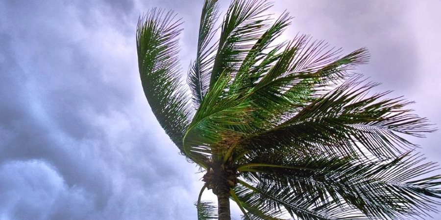 Κίτρινη προειδοποίηση: Σφοδροί άνεμοι μέχρι και 8 μποφόρ - «Χτυπάνε» το νησί από αργά το βράδυ