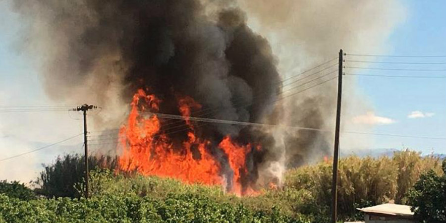 ΚΡΗΤΗ: Μπαράζ πυρκαγιών αντιμετώπισε η Πυροσβεστική