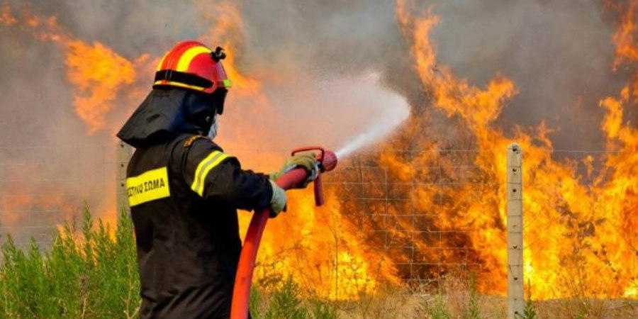 ΠΑΡΑΛΙΜΝΙ: Υπό έλεγχο η πυρκαγιά – Έκκληση προς το κοινό από την Πυροσβεστική