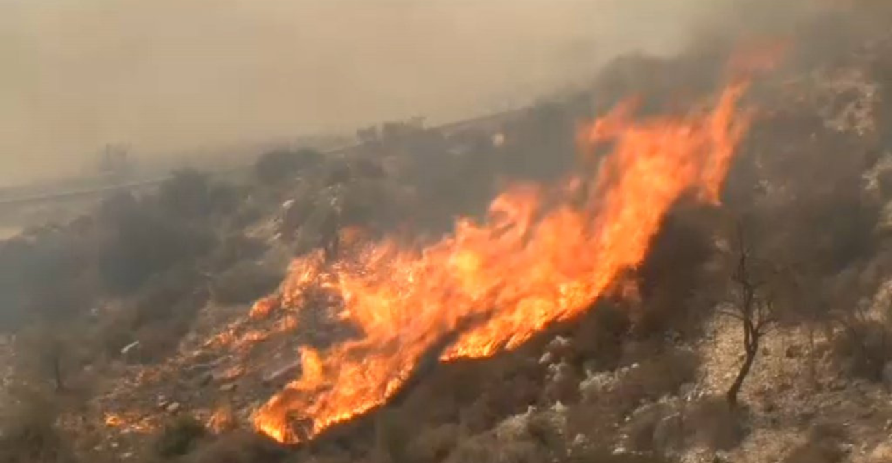 Αντιμετωπίστηκε η αναζωπύρωση της πυρκαγιάς στην περιοχή Στρουμπιού - Κοίλης