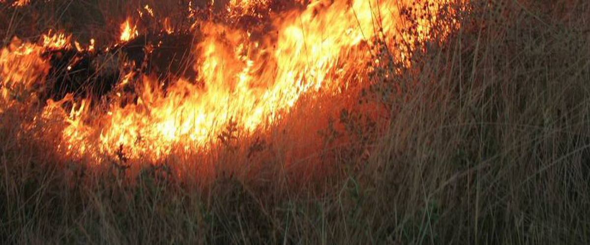 Κατασβέστηκε η πυρκαγιά στην κοινότητα Ακουρδάλια