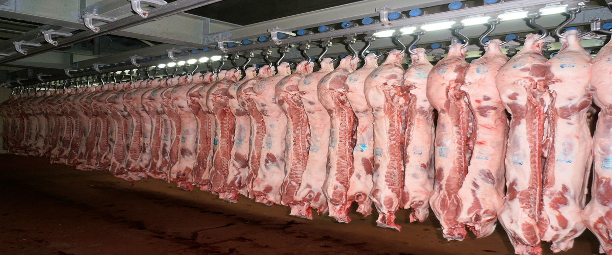 Έκτακτο: Κίνδυνος να ξεμείνει από κρέας τον Δεκαπενταύγουστο η αγορά
