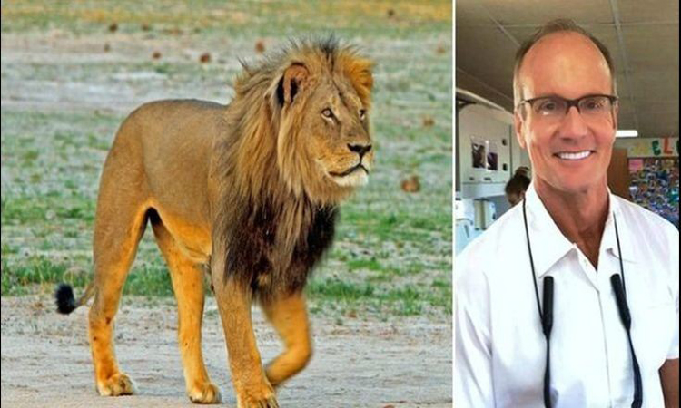 Παγκόσμια κατακραυγή για τη δολοφονία του πιο διάσημου λιονταριού
