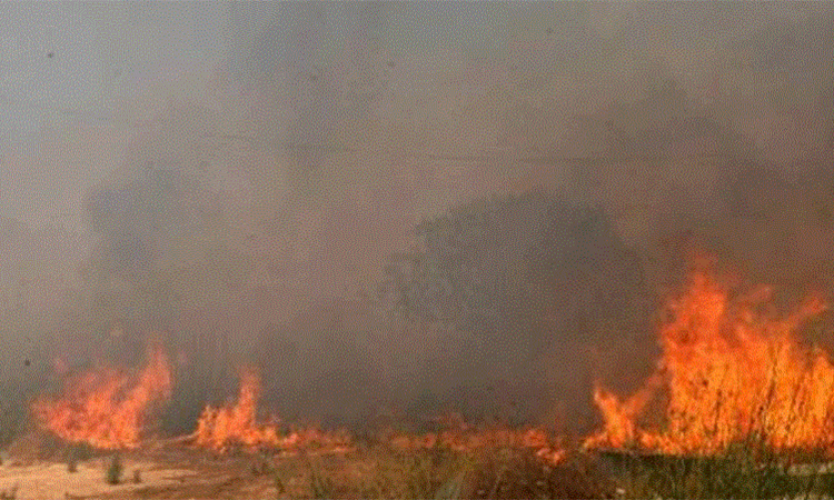 Πυρκαγιά στην Βυζακιά σε μισό τετραγωνικό χιλιόμετρο