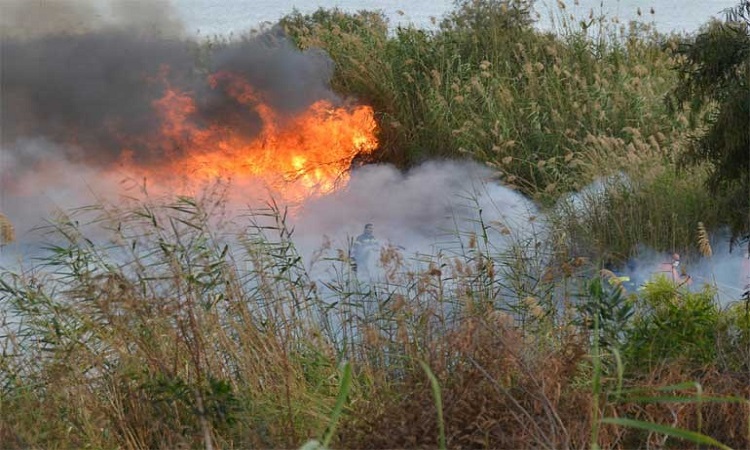 Πυρκαγιά σε δάσος στην Κόσιη - Τέθηκε υπο έλεγχο!