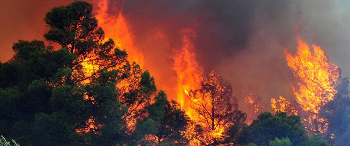 Καίγεται η ημιορεινή Λεμεσός–  Ξέσπασε δεύτερη πυρκαγιά