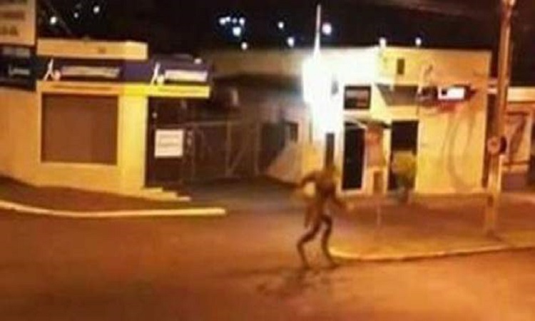Ένα παράξενο πλάσμα στη Βραζιλία- Μοιάζει με λυκάνθρωπο και σκορπά τον τρόμο (Φώτο&Βίντεο)