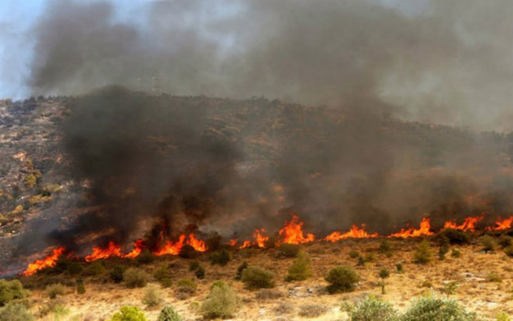 Σε δύο πυρκαγιές στην Άλασσα επιχειρεί η Πυροσβεστική