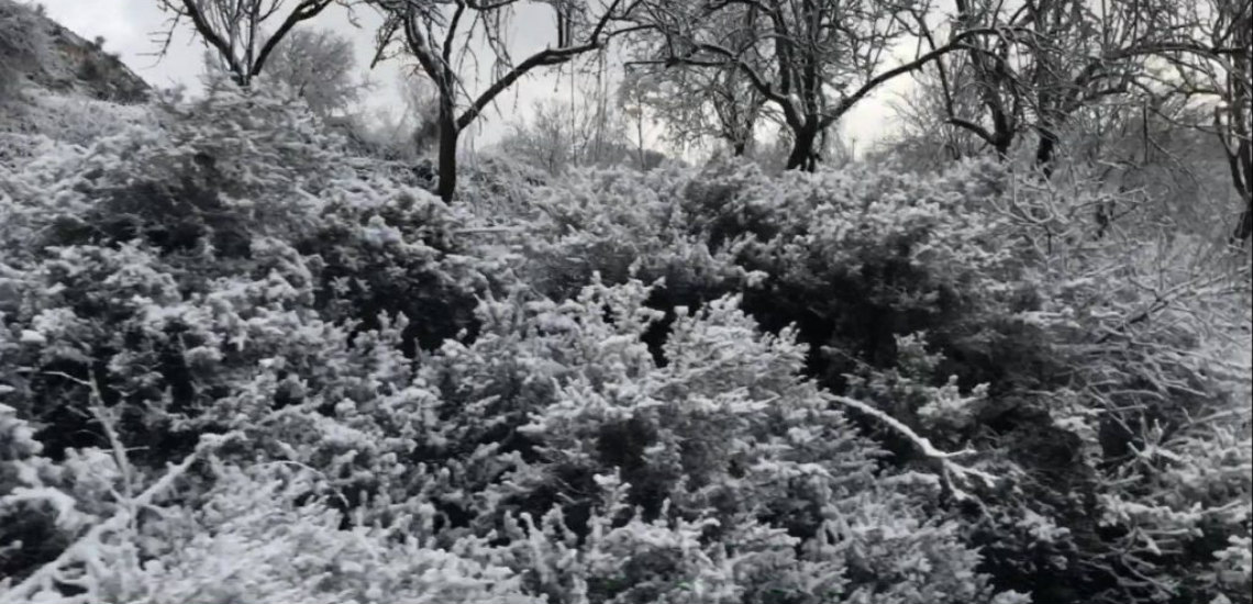 Μαγικές εικόνες από την χιονισμένη Πάφο – Χωριά έχουν ντυθεί στα λευκά