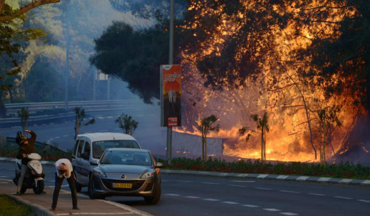 Oι Κύπριοι πυροσβέστες ρίχτηκαν στην μάχη της κατάσβεσης των πυρκαγιών στο Ισραήλ
