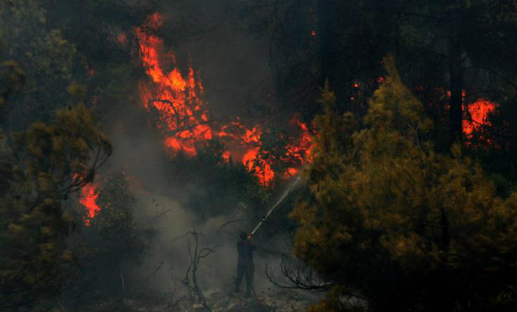 ΠΑΦΟΣ: Φωτιά στην Κρήτου Τέρρα κατέκαψε δύο τετραγωνικά εκτάρια άγριας βλάστησης