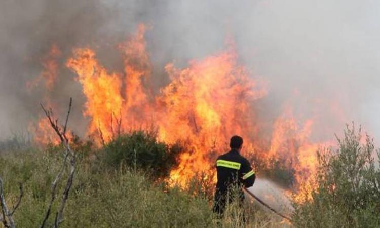 Υπό έλεγχο δασική πυρκαγιά παρά τον δρόμο Κοφίνου-Λάρνακας