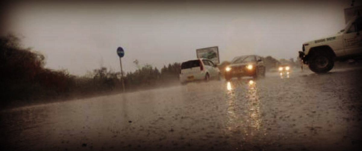 Μετεωρολογική υπηρεσία: Άνεμοι 7-8 μποφόρ στην Κύπρο! Φόβοι ότι θα ξεριζωθούν δέντρα στον αυτοκινητόδρομο
