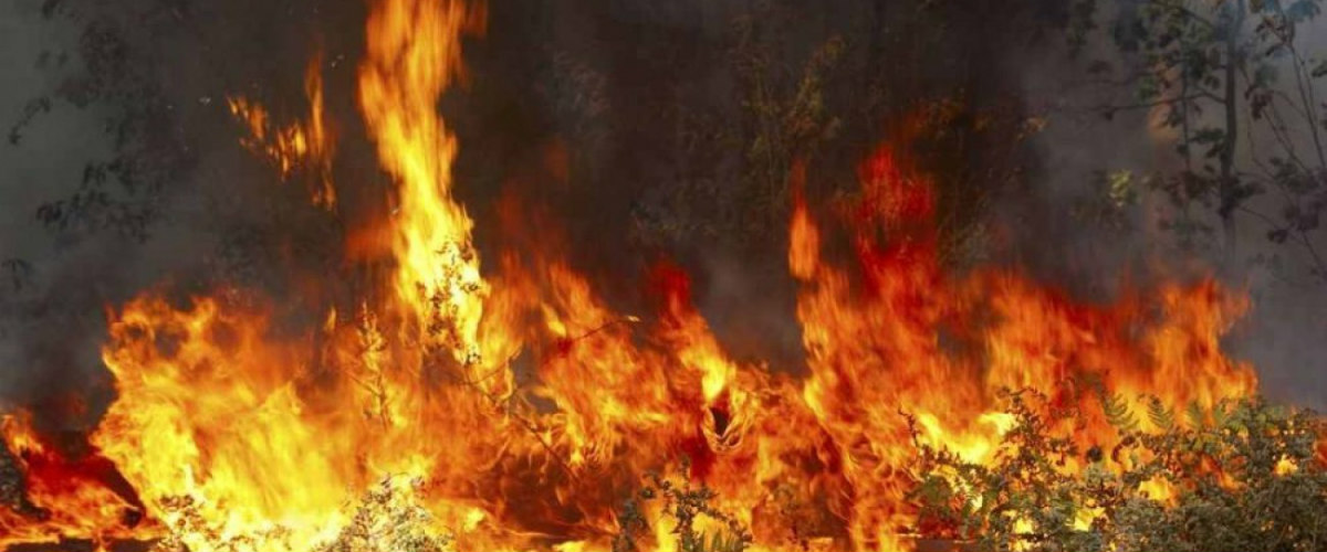 ΛΕΜΕΣΟΣ: Εκτός ελέγχου η πυρκαγιά στην Άλασσα! Πολύ δύσκολο το έργο της Πυροσβεστικής