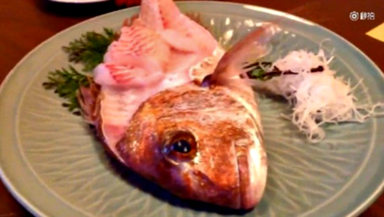 Θα τρίβετε τα μάτια σας: Μισοφαγωμένο ψάρι άρχισε να κουνιέται και πετάγεται από το πιάτο!