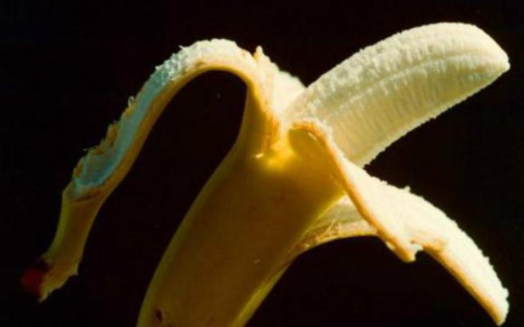 Τέσσερις απίθανες χρήσεις με τη φλούδα της μπανάνας