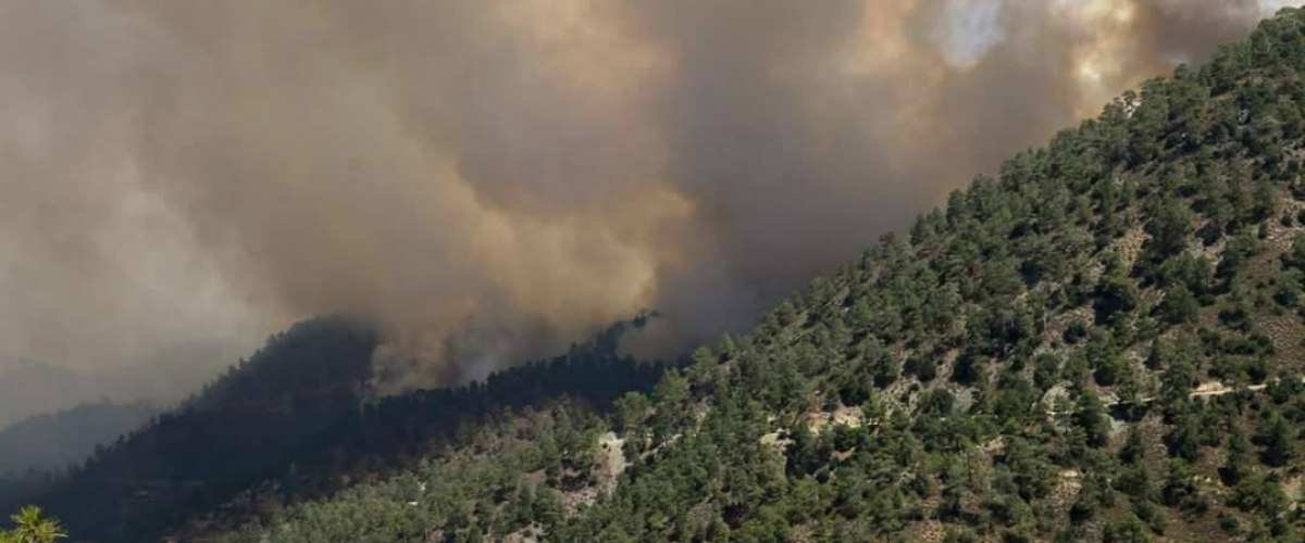 Πυρκαγιά Ευρύχου: Κατέκαψε 18,5 τετραγωνικά χιλιόμετρα δασικής γης η πύρινη λαίλαπα