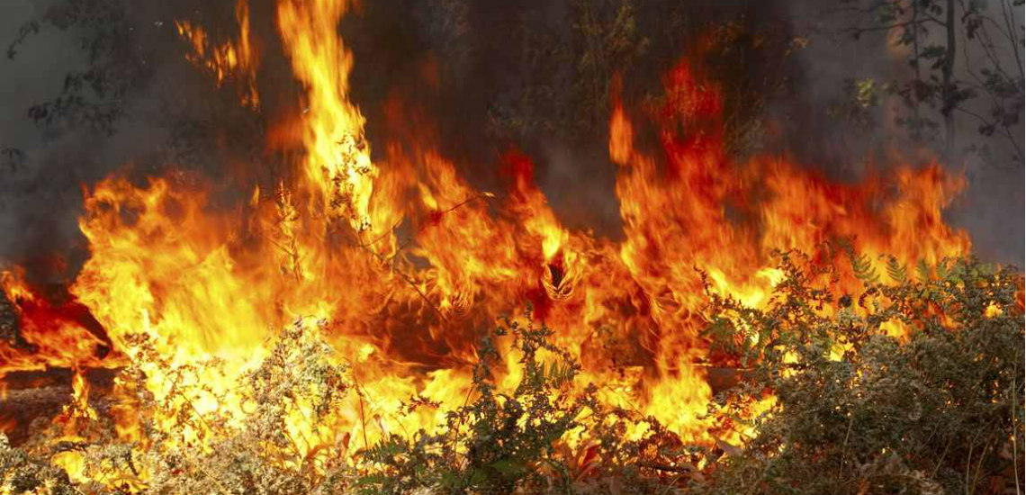 ΚΙΤΙ: Φωτιά επηρέασε νηπιαγωγείο και δημοτικό σχολείο - Έντονες διαμαρτυρίες από γονείς