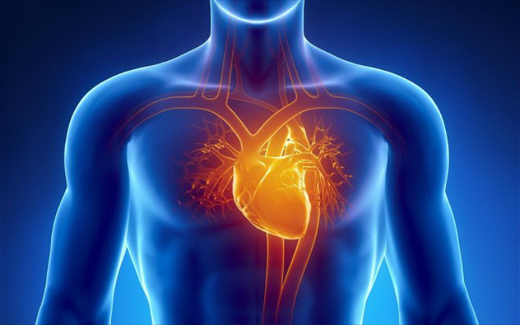 Τεστ: Υπολογίστε την ηλικία της καρδιάς σας