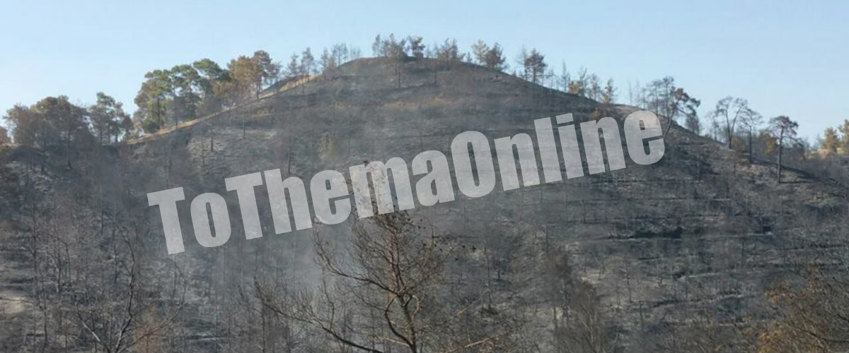 Τεράστια η καταστροφή στην Αργάκα! «Κρανίου τόπος» μετά το πέρασμα της φωτιάς 5 τετραγωνικά χιλιόμετρα
