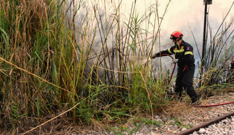 ΠΑΦΟΣ: «Ήθελα να κάψω τα φίδια» - Χειροπέδες σε 34χρονο που έβαλε φωτιά και έκανε την Πυροσβεστική να «τρέχει»