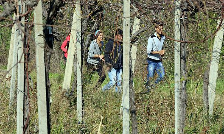 Μετανάστες μεταβαίνουν με τα πόδια από Αυστρία στη Γερμανία