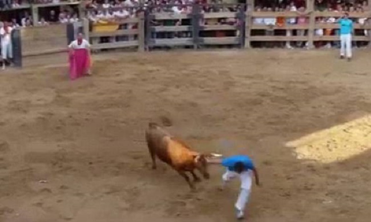 Νεκρός 29χρονος στην Ισπανία- Τον κάρφωσε ταύρος με τα κέρατα του (Βίντεο)