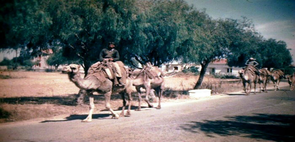Ο δρόμος αυτός ανοίχτηκε για να περάσουν τα καραβάνια με τις καμήλες. Σήμερα είναι μία από τις πιο κεντρικές λεωφόρους στην Κύπρο