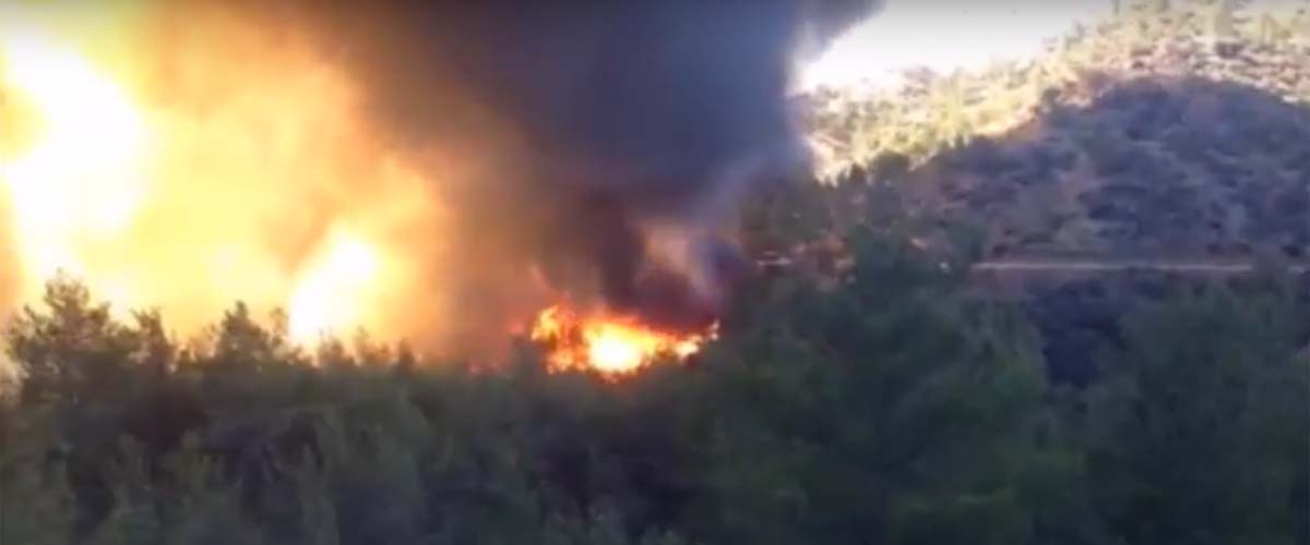 Η πυρκαγιά της Αργάκας: Όταν κάποιοι είχαν το θράσος να μειώνουν τους πυροσβέστες – VIDEO
