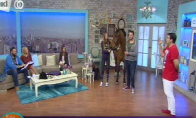 Ξεφύγαμε στο ΡΙΚ! Έβαλαν άλογο στο στούντιο του πρωινού! VIDEO