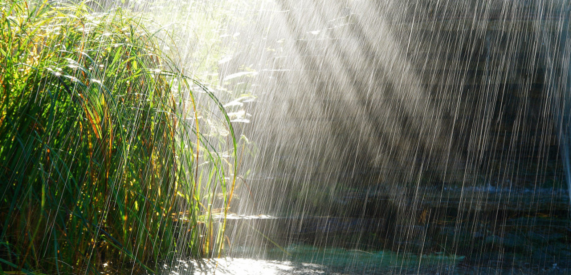 ΚΑΙΡΟΣ: Εναλλαγή ηλιοφάνειας με βροχές ενώ ο υδράργυρος θα φτάσει τους 30 βαθμούς