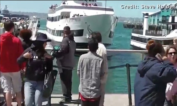 Απίστευτο! Πλοίο πέφτει με ορμή πάνω σε προβλήτα γεμάτη τουρίστες – VIDEO
