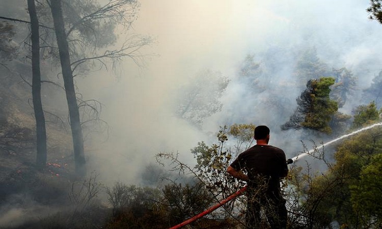 Eκτός ελέγχου μεγάλη πυρκαγιά στην περιοχή της Αργάκας στην Επαρχία Πάφου
