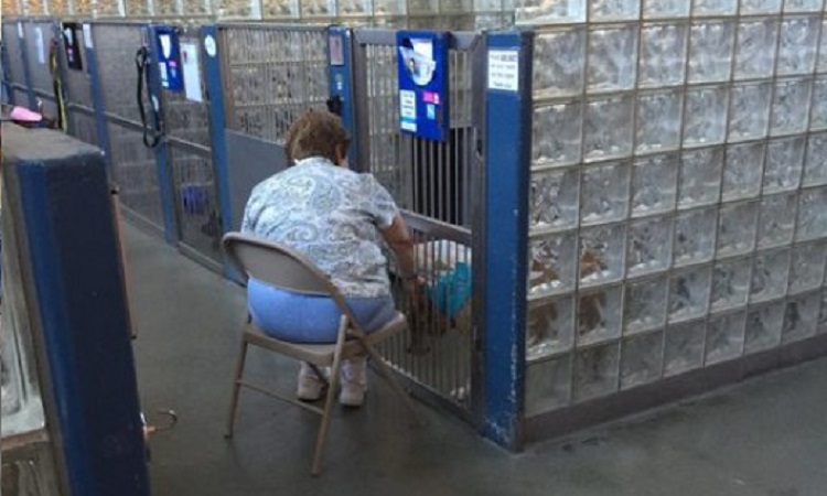 Γυναίκα διαβάζει σε σκύλους στα καταφύγια για να μην αισθάνονται μόνοι!