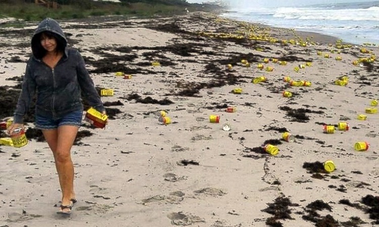 Μυστήριο με εκατοντάδες κουτάκια καφέ που ξεβράστηκαν στις ακτές της Φλόριντα