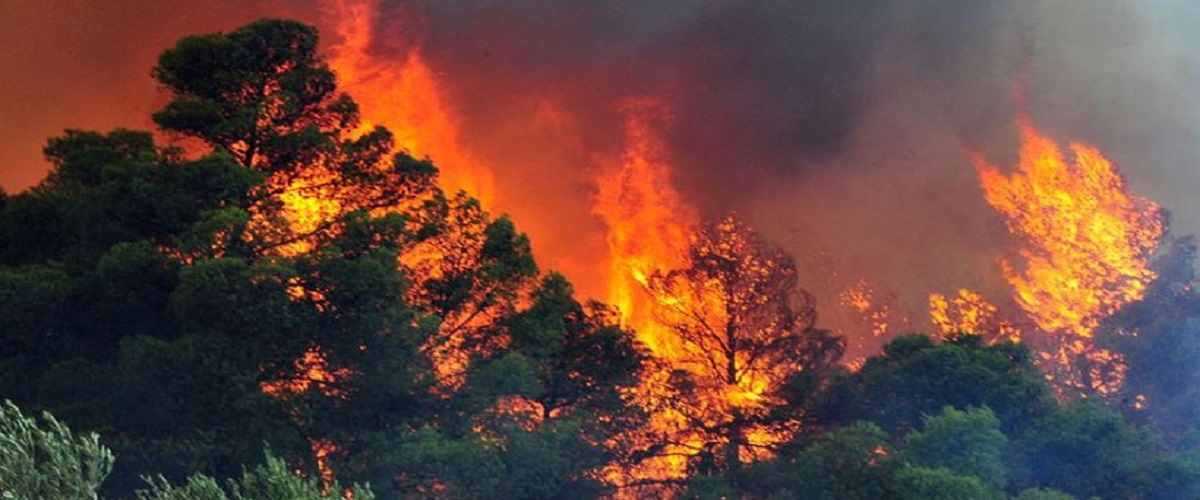 Εκτός ελέγχου η φωτιά στην Παραμύθα – Ζητούν ενισχύσεις – Πνέουν ισχυροί άνεμοι