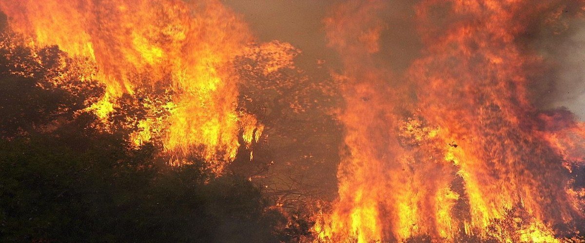 ΤΩΡΑ: Μεγάλη πυρκαγιά στην περιοχή Παραμύθας – Γεράσας