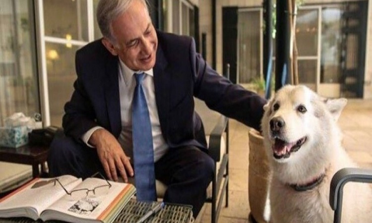 Η σκυλίτσα του Νετανιάχου δάγκωσε δυο άτομα στη διάρκεια τελετής για την εβραϊκή γιορτή Hannukah
