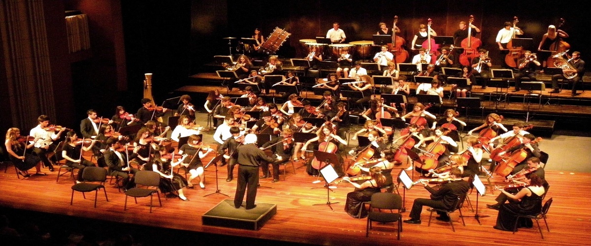 Αν έχεις μέσο διάβαινε... Μέλη του ΔΣ του Ιδρύματος Συμφωνική Ορχήστρα Κύπρου διορίζουν συγγενείς του μουσικούς